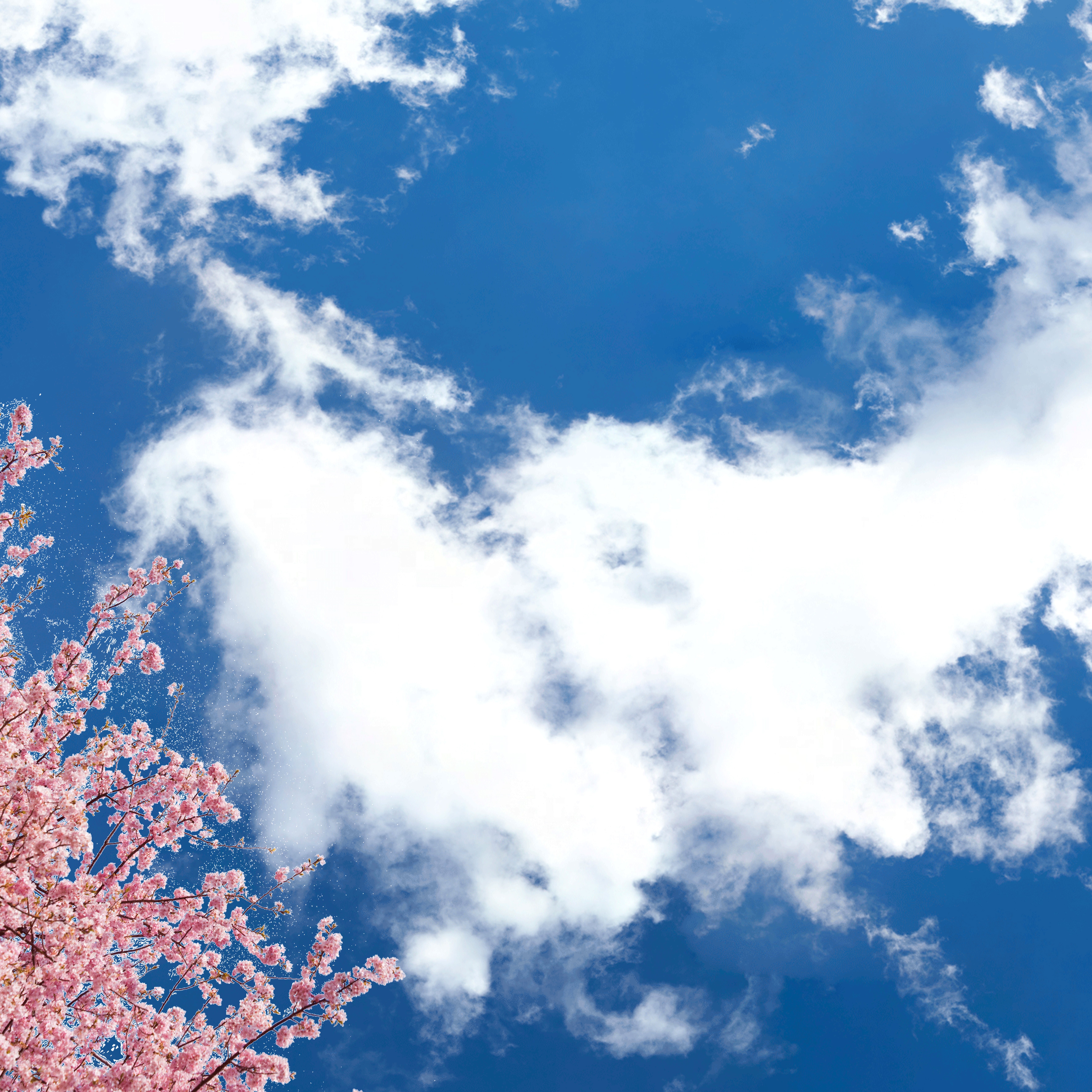 Sky3 + Cherry Blossom - LED Sky Ceiling Panel Image