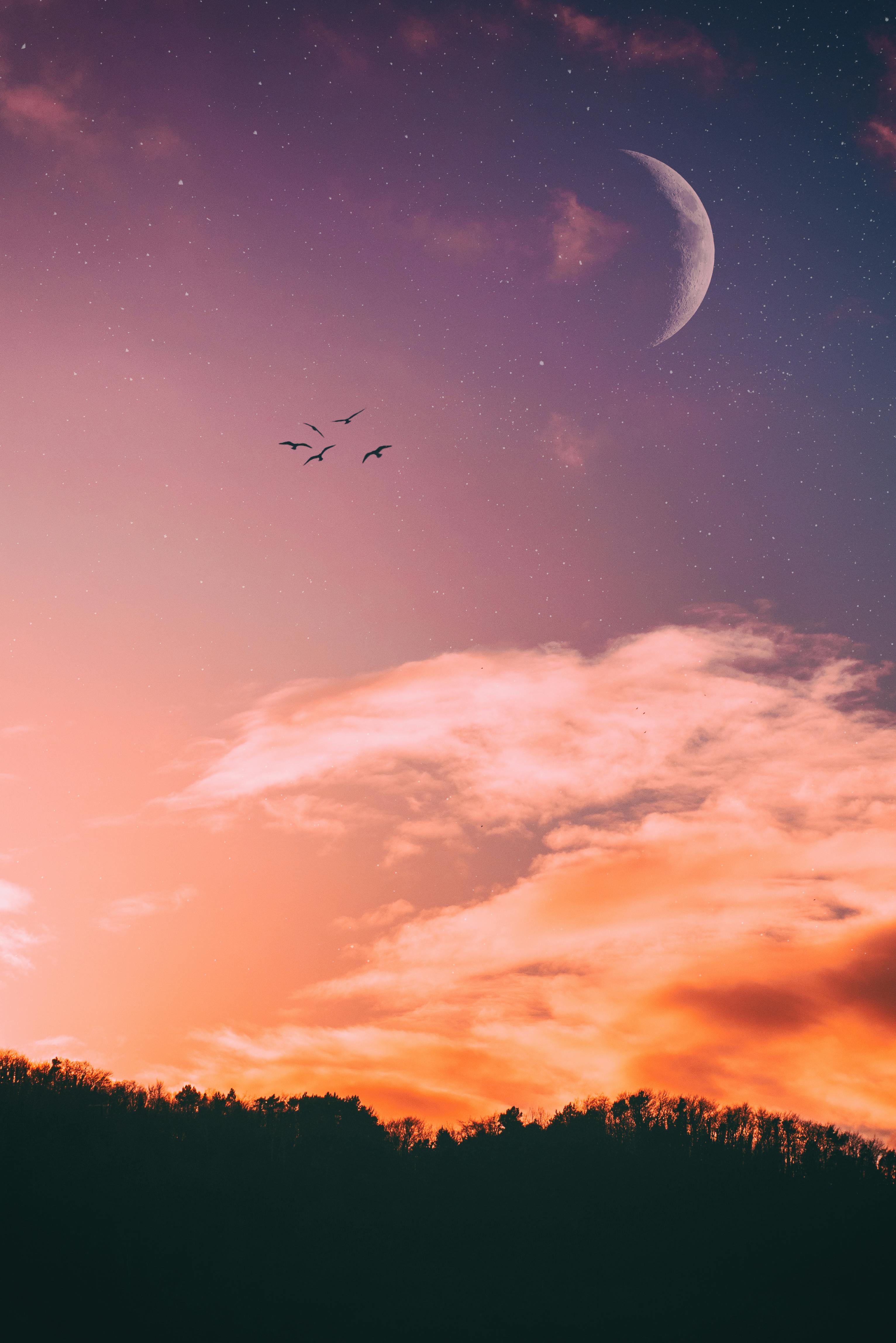Crescent Moon and Sunset