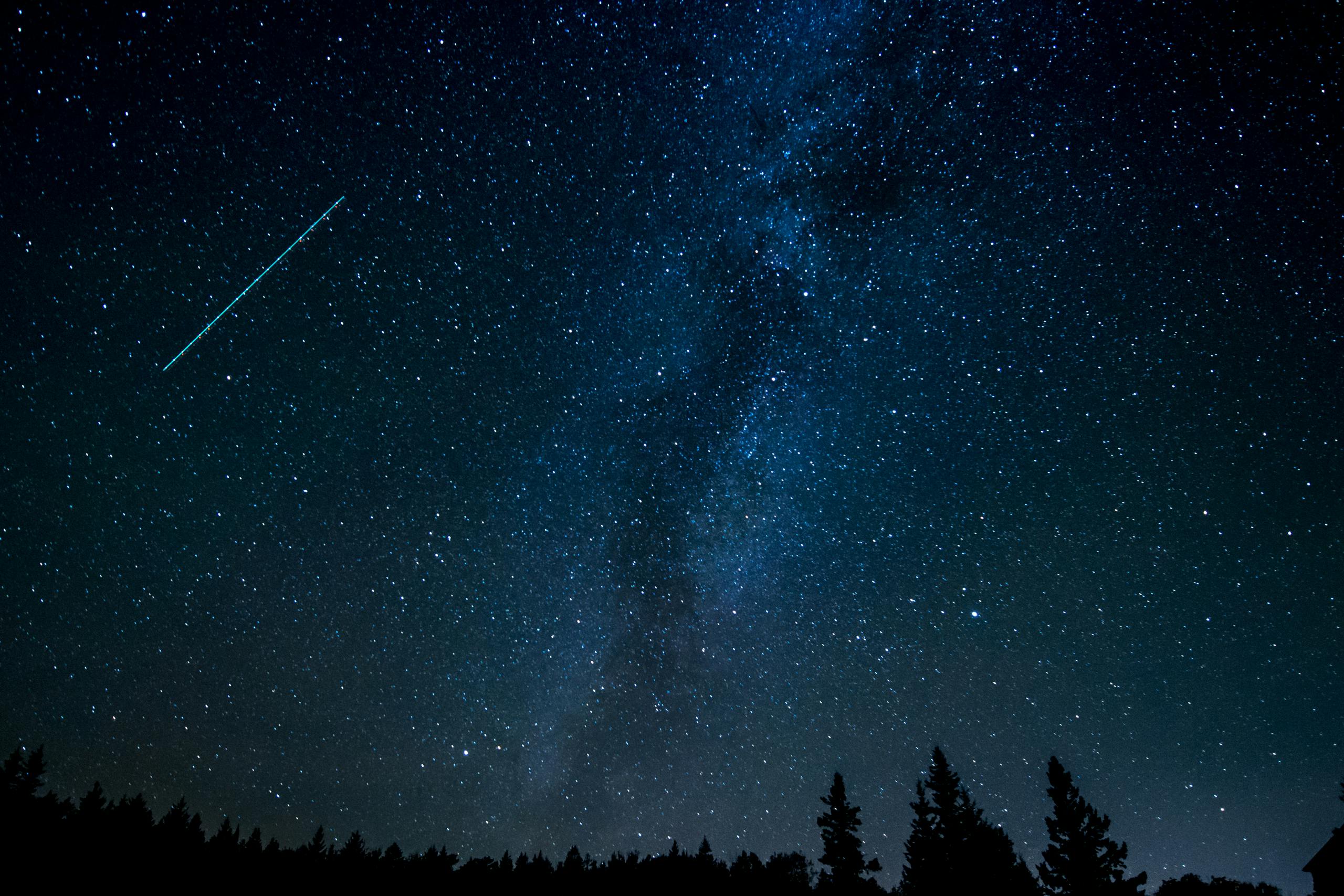 Starry Sky in Forest